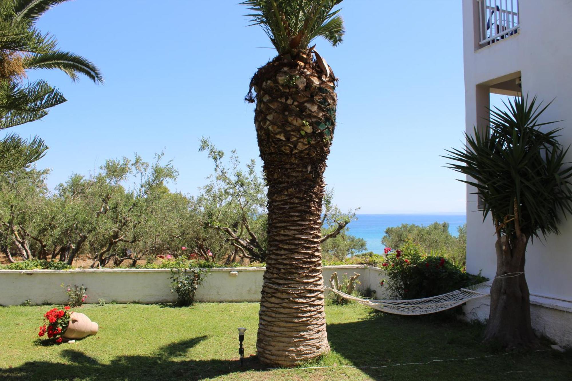 Panorama Studios & Apartments Amoudi Exteriér fotografie